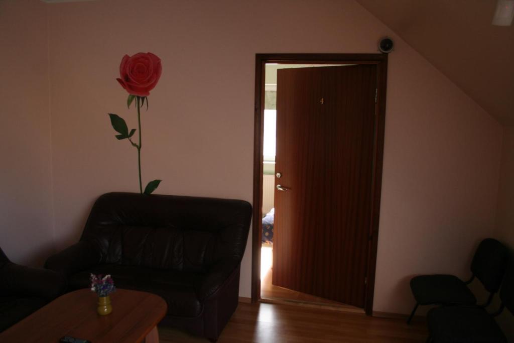 Old Town Hostel Haapsalu Luaran gambar